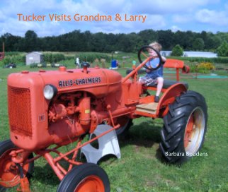 Tucker Visits Grandma & Larry book cover
