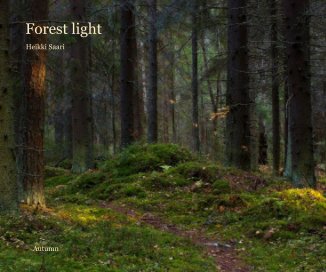 Forest light book cover