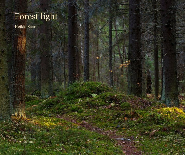 View Forest light by Heikki Saari