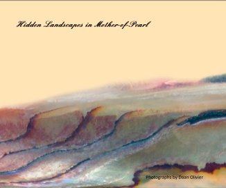 Hidden Landscapes in Mother-of-Pearl book cover