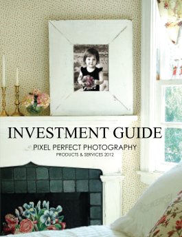 Pixel Perfect Investment Guide book cover