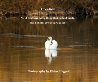 Creation "And God saw every thing that he had made, and behold, it was very good." Photography by Elaine Hagget book cover