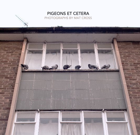 View PIGEONS ET CETERA by mjcr055