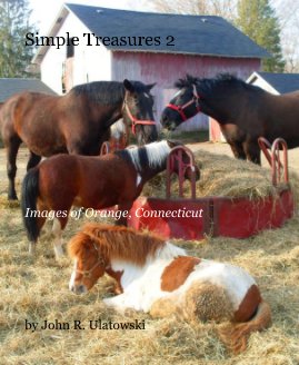Simple Treasures 2 book cover
