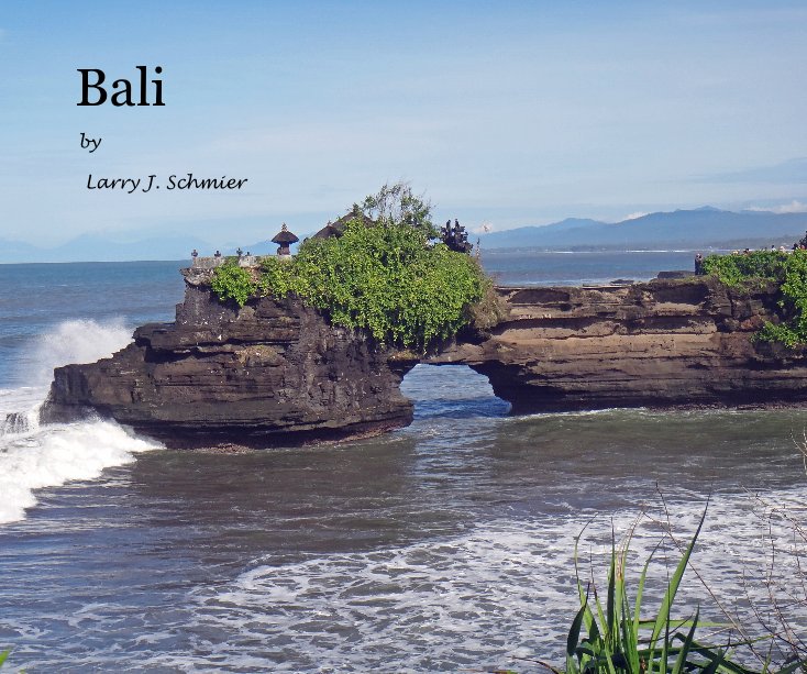 View Bali by Larry J. Schmier
