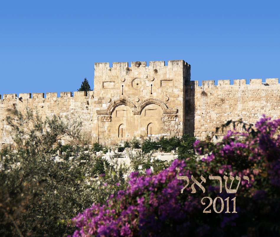 View Israel 2011 by Duke Peeler