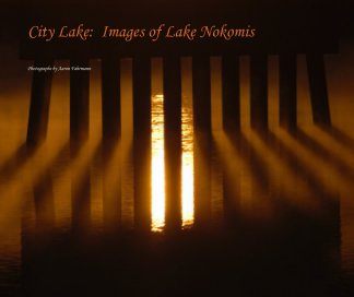 City Lake:  Images of Lake Nokomis book cover