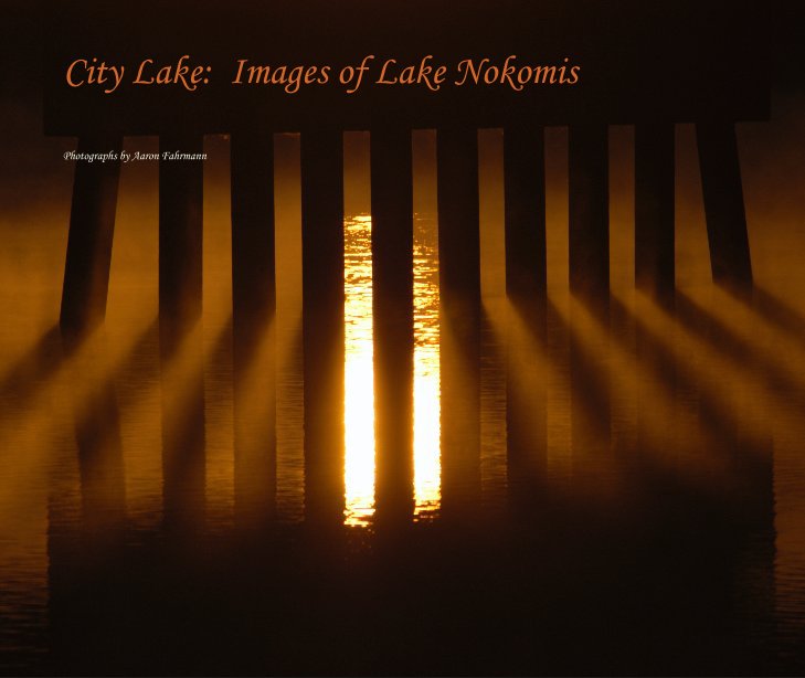 View City Lake:  Images of Lake Nokomis by Photographs by Aaron Fahrmann
