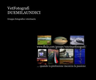 VetFotografi DUEMILAUNDICI book cover