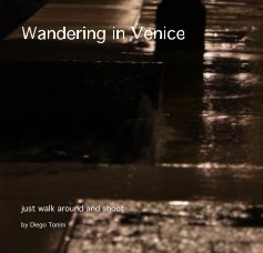 Wandering in Venice book cover