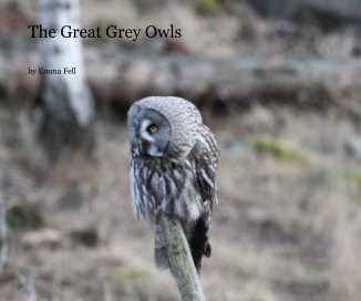 The Great Grey Owls book cover