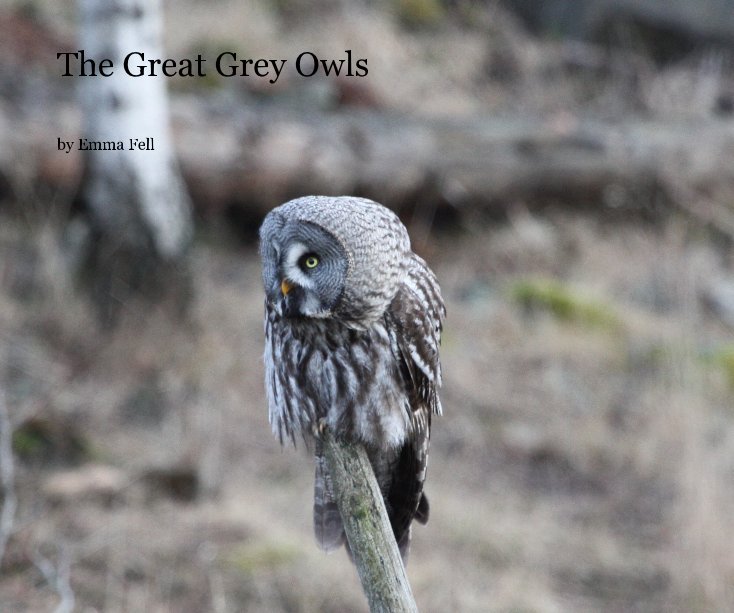 View The Great Grey Owls by Emma Fell