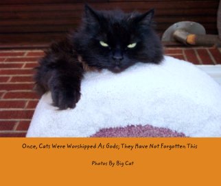 Once, Cats Were Worshipped As Gods; They Have Not Forgotten This book cover