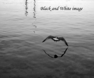Black and White image book cover