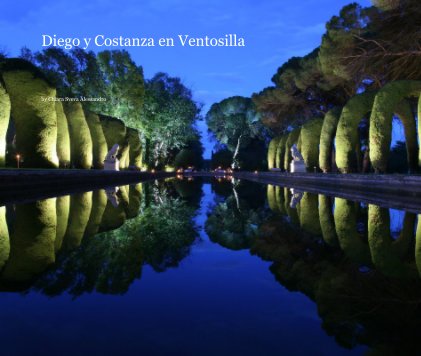Diego y Costanza en Ventosilla book cover