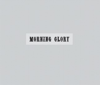 Morning Glory Hardback book cover