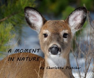 A MOMENT IN NATURE By Charlotte Pletcher book cover