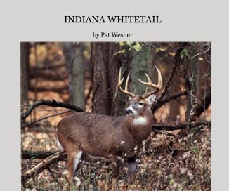 INDIANA WHITETAIL book cover