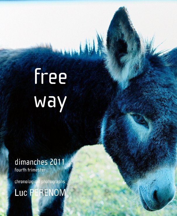 Visualizza free way, dimanches 2011, fourth trimester di Luc PERENOM