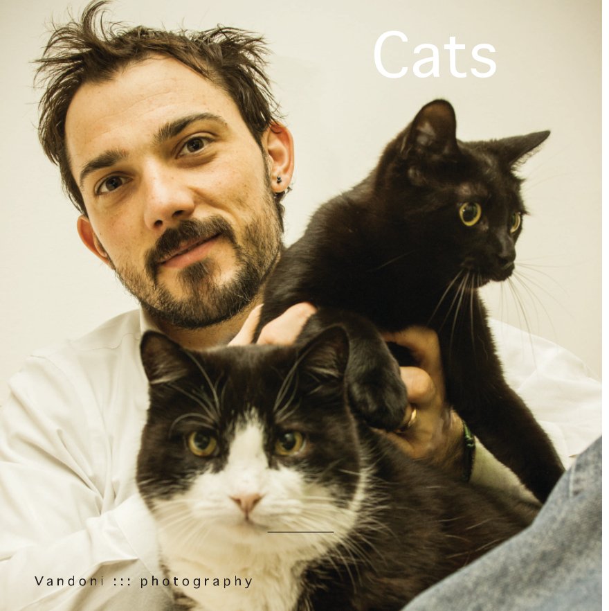 View Cats by Vandoni Andrea