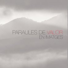 PARAULES DE VALOR EN IMATGES book cover