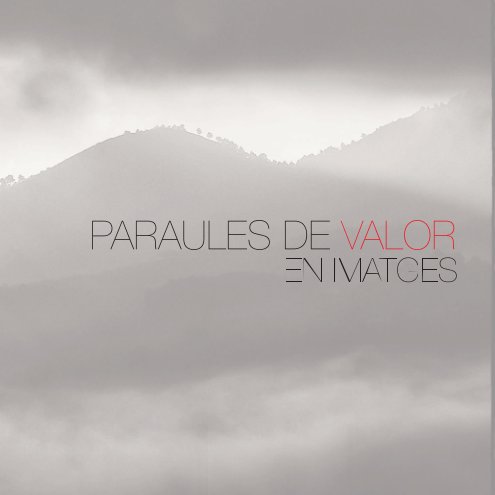 View PARAULES DE VALOR EN IMATGES by AFA