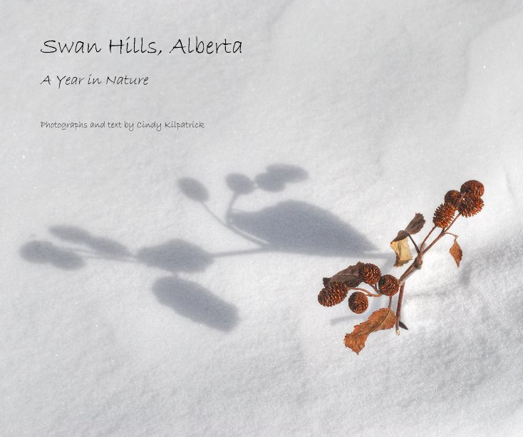 Bekijk Swan Hills, Alberta op Photographs and text by Cindy Kilpatrick