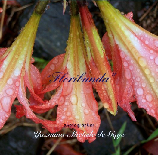Bekijk "Floribunda" op photographer
Yazmina-Michele de Gaye