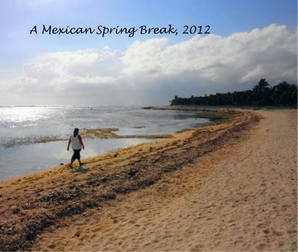 A Mexican Spring Break, 2012 book cover