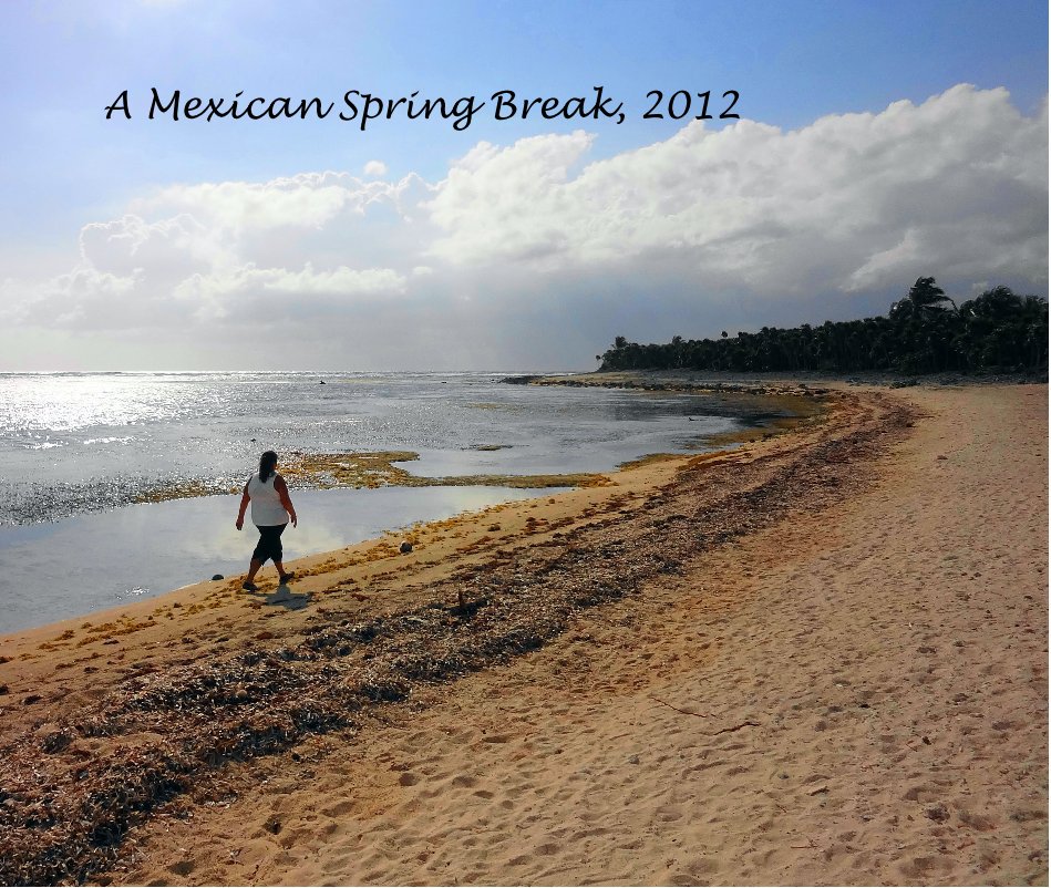 View A Mexican Spring Break, 2012 by Brenda Fraser