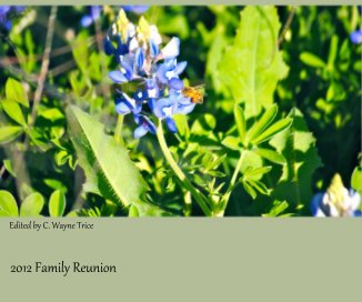 2012 Family Reunion book cover