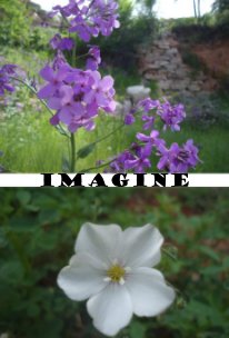 Imagine One World book cover