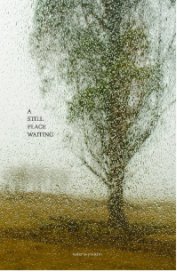 A still place waiting book cover