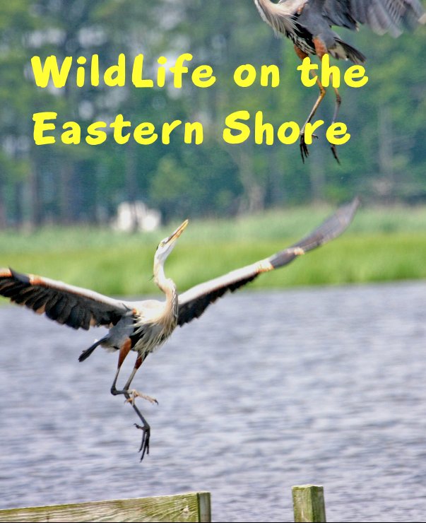 Ver WildLife on the Eastern Shore por William K. Hunter II