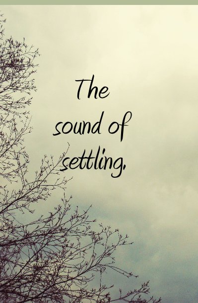 View the sound of settling. by stacie lee