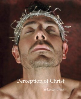 Perception of Christ book cover