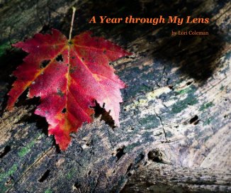 A Year through My Lens book cover
