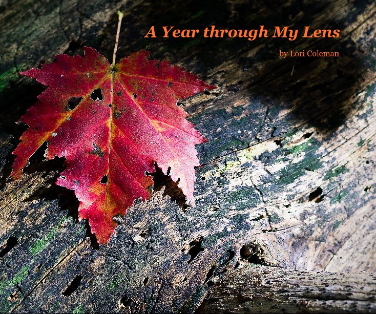 View A Year through My Lens by Lori Coleman