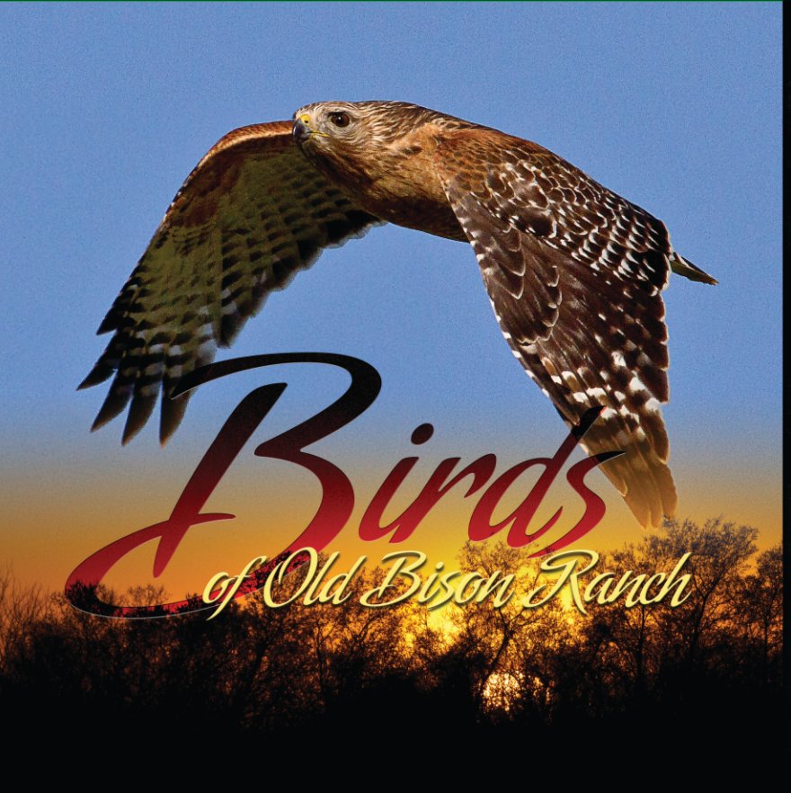 Ver Birds of Old Bison Ranch por Keith D. Crabtree