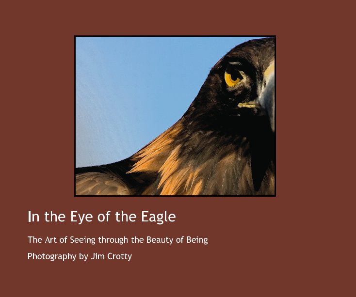 View In the Eye of the Eagle by Jim Crotty