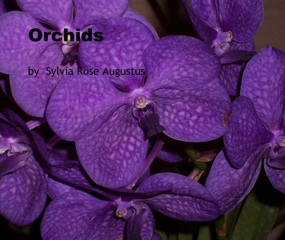 View Orchids by Sylvia Rose Augustus