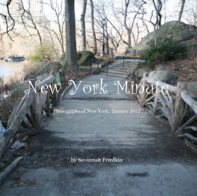 In a New York Minute: Photographs of New York, January 2012 book cover