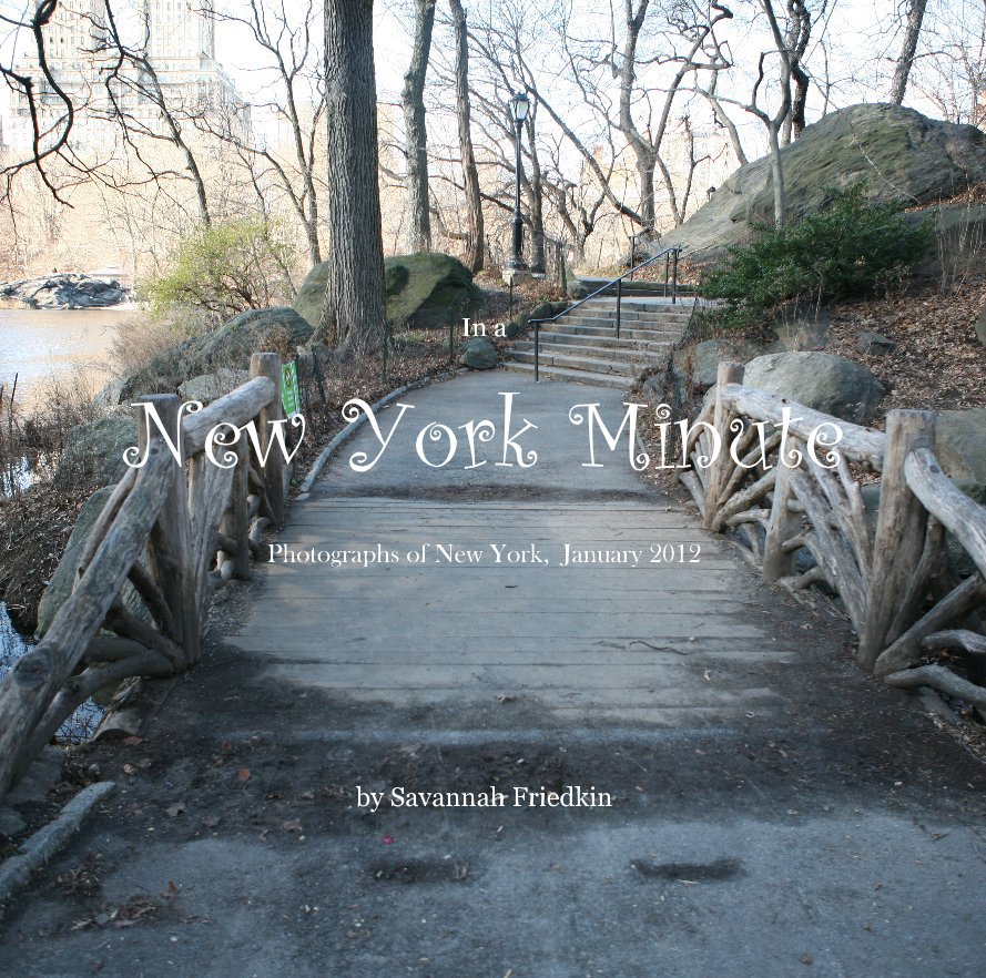 Ver In a New York Minute: Photographs of New York, January 2012 por westaples