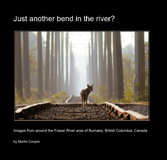 View Just another bend in the river? by Martin Cooper