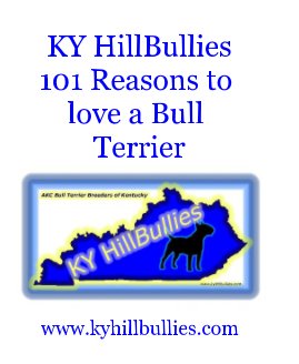 KY HillBullies 101 Reasons to love a Bull Terrier book cover