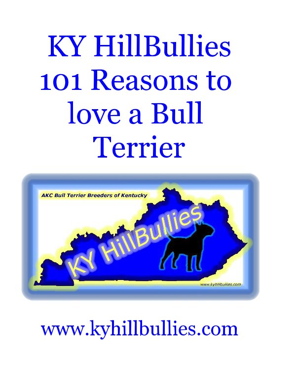 View KY HillBullies 101 Reasons to love a Bull Terrier by www.kyhillbullies.com