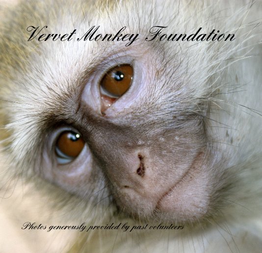 Ver Vervet Monkey Foundation por Vervet