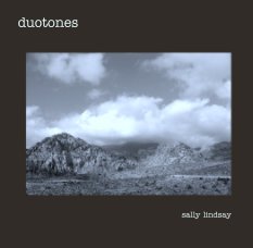 duotones book cover