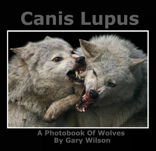 View Canis Lupus by Gary Wilson