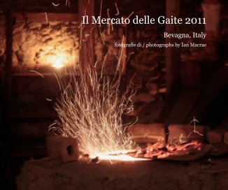 Il Mercato delle Gaite 2011 book cover